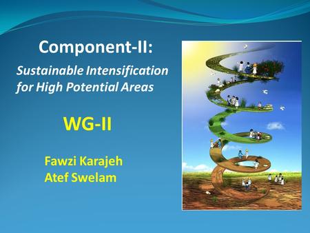 WG-II Sustainable Intensification for High Potential Areas Component-II: Fawzi Karajeh Atef Swelam.
