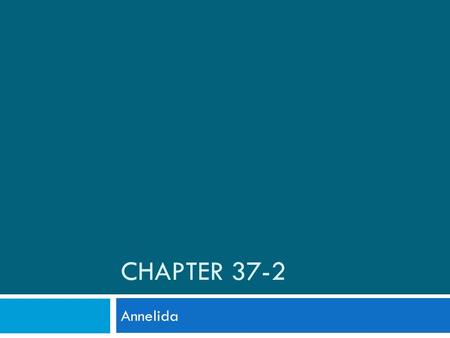 Chapter 37-2 Annelida.