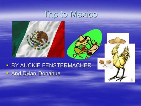 Trip to Mexico  BY AUCKIE FENSTERMACHER  And Dylan Donahue.
