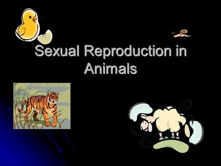Sexual Reproduction in Animals The animal kingdom includes a wide variety of organisms with different body forms and ways of living.