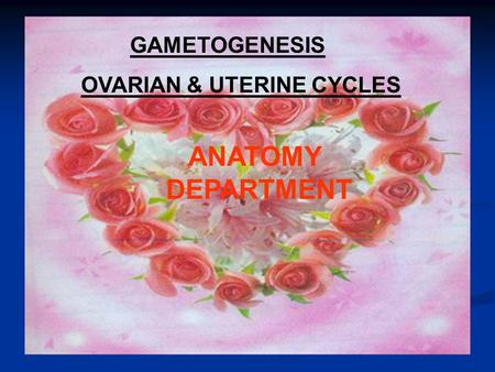 GAMETOGENESIS OVARIAN & UTERINE CYCLES ANATOMY DEPARTMENT.