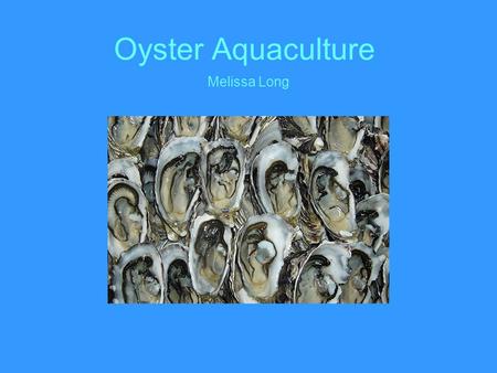 Oyster Aquaculture Melissa Long.