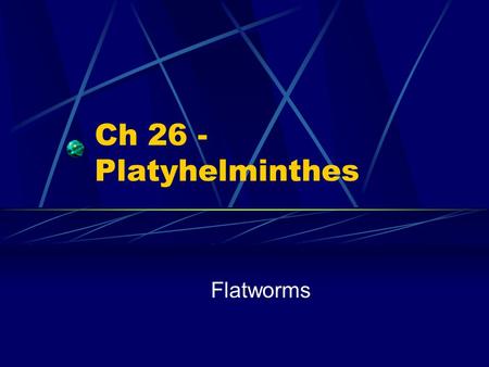 Ch 26 - Platyhelminthes Flatworms.