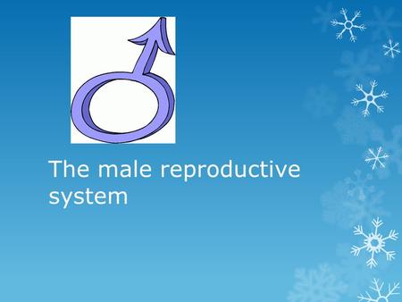 The male reproductive system.  Humans have 2 types of gametes:  Males have sperm – small, motile, many  Females have eggs – large, non-motile, few.