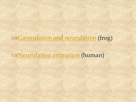 Gastrulation and neurulation (frog)