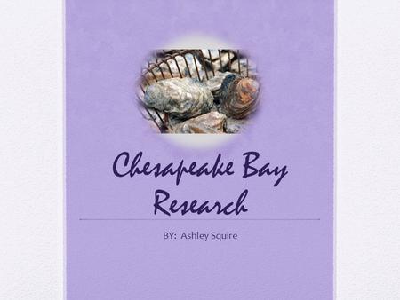 Chesapeake Bay Research BY: Ashley Squire. Why is it important to have a variety of animals in the Bay? It is important to have a variety of living things.