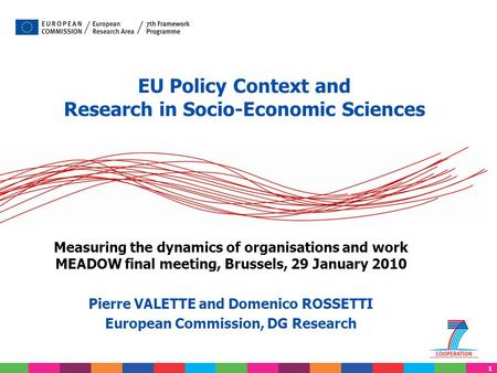 1 EU Policy Context and Research in Socio-Economic Sciences Measuring the dynamics of organisations and work MEADOW final meeting, Brussels, 29 January.