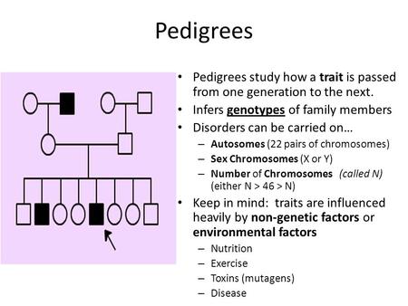 Pedigrees Pedigrees study how a trait is passed from one generation to the next. Infers genotypes of family members Disorders can be carried on… – Autosomes.