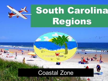 South Carolina Regions Coastal Zone Maritime Forest Maritime Forest tend to stay unchanged over a long period of time. Although hurricanes, fires, or.