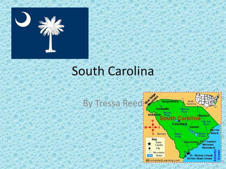 South Carolina By Tressa Reed. Columbia, South Carolina Columbia was the first city in South Carolina. You could attend the University of South Carolina.