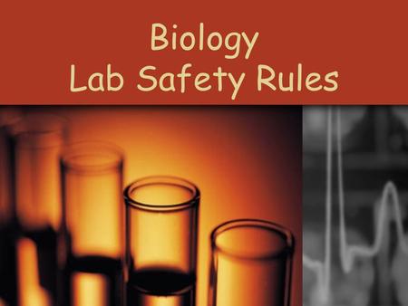 Biology Lab Safety Rules. Protect Your Eyes Goggles must be worn at all times when told to do so.