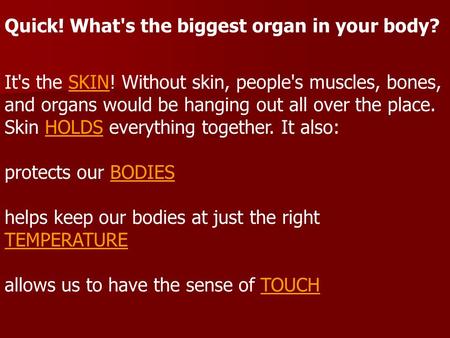 Quick! What's the biggest organ in your body? It's the SKIN! Without skin, people's muscles, bones, and organs would be hanging out all over the place.
