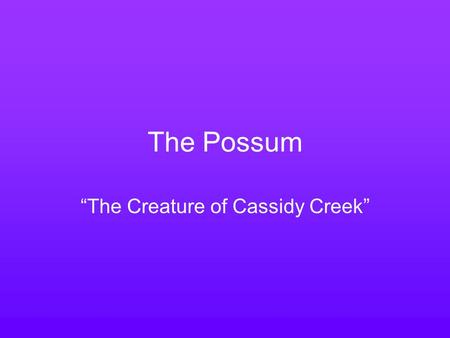 “The Creature of Cassidy Creek”
