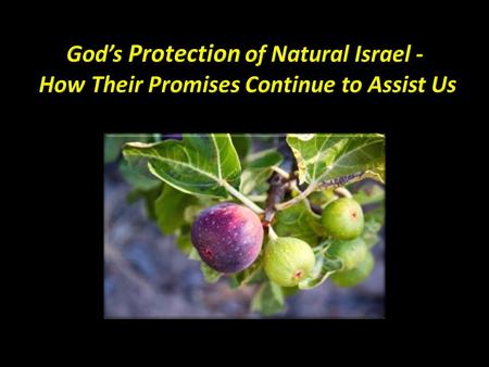 God’s Protection Strategy Promises that link natural & spiritual Israel Protective strategies Protection promises Protection benefits.