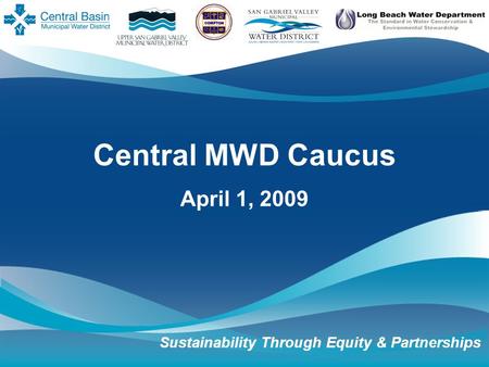 Central MWD Caucus April 1, 2009 Sustainability Through Equity & Partnerships.