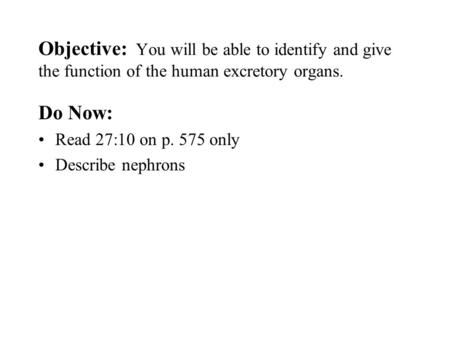 Objective: You will be able to identify and give the function of the human excretory organs. Do Now: Read 27:10 on p. 575 only Describe nephrons.