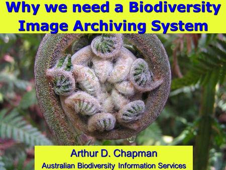 Why we need a Biodiversity Image Archiving System Arthur D. Chapman Australian Biodiversity Information Services.