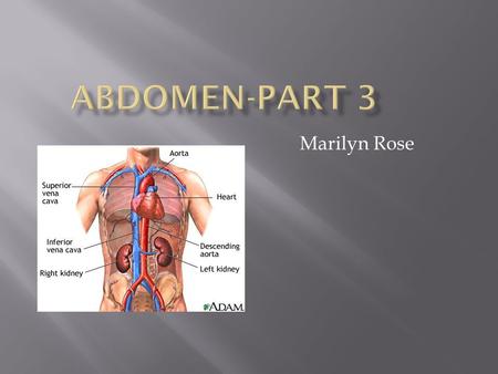 Marilyn Rose.  Kidneys, ureters, bladder, urethra  Kidneys- retroperitoneal, bean-shaped  Oblique orientation, paravertebral gutters along posterior.