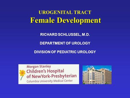 Female Development UROGENITAL TRACT Female Development RICHARD SCHLUSSEL, M.D. DEPARTMENT OF UROLOGY DIVISION OF PEDIATRIC UROLOGY.