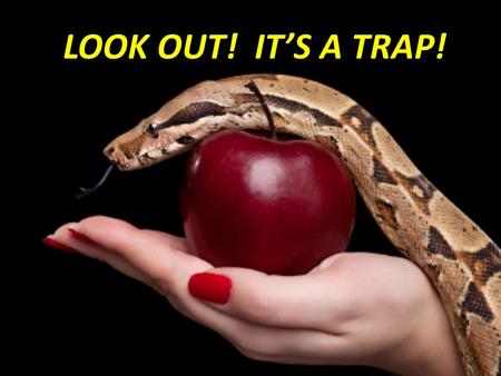 LOOK OUT! IT’S A TRAP!. Luke 21:34-36 34 35 36 34 “But take heed to yourselves, lest your hearts be weighed down with carousing, drunkenness, and cares.
