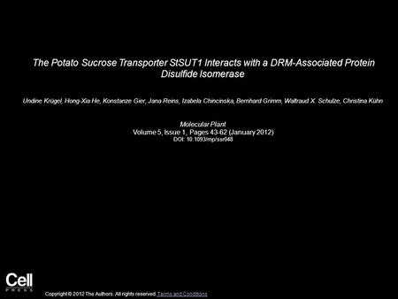 The Potato Sucrose Transporter StSUT1 Interacts with a DRM-Associated Protein Disulfide Isomerase Undine Krügel, Hong-Xia He, Konstanze Gier, Jana Reins,