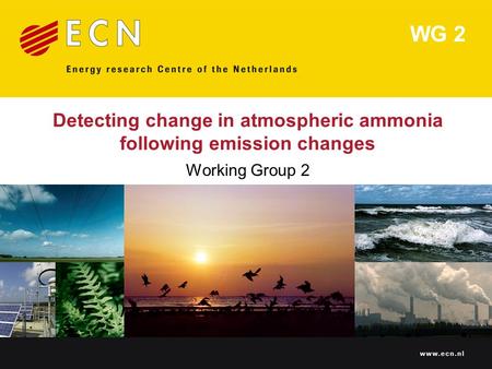 Www.ecn.nl Detecting change in atmospheric ammonia following emission changes Working Group 2 WG 2.