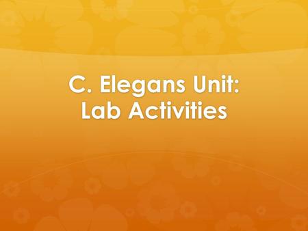 C. Elegans Unit: Lab Activities