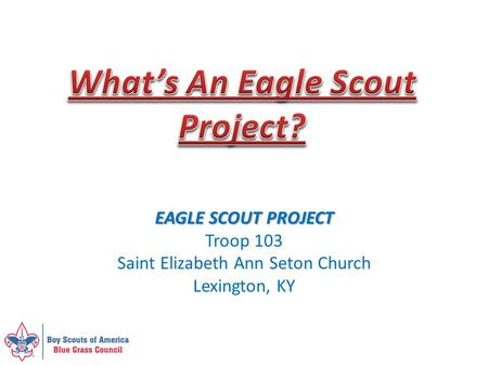 What’s An Eagle Scout Project?