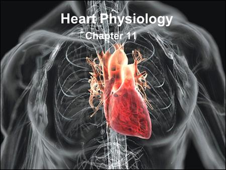 Heart Physiology Chapter 11.
