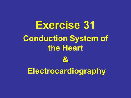 Conduction System of the Heart & Electrocardiography