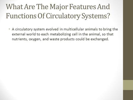 What Are The Major Features And Functions Of Circulatory Systems?