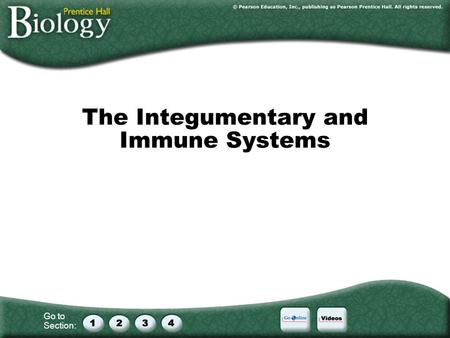Go to Section: The Integumentary and Immune Systems.