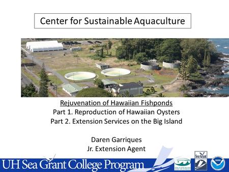 Rejuvenation of Hawaiian Fishponds Part 1. Reproduction of Hawaiian Oysters Part 2. Extension Services on the Big Island Daren Garriques Jr. Extension.