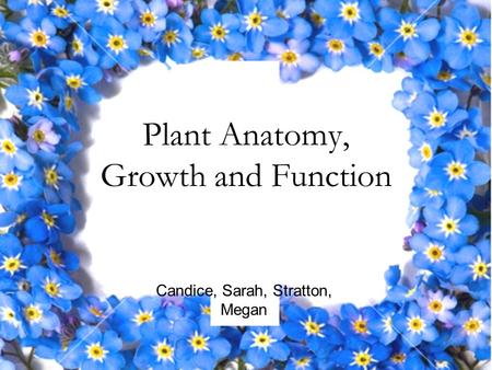 Plant Anatomy, Growth and Function Candice, Sarah, Stratton, Megan.
