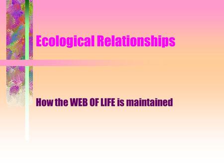 Ecological Relationships How the WEB OF LIFE is maintained.