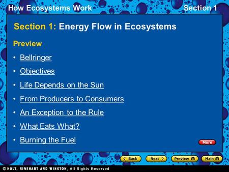 How Ecosystems WorkSection 1 Section 1: Energy Flow in Ecosystems Preview Bellringer Objectives Life Depends on the Sun From Producers to Consumers An.