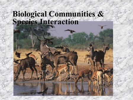 Biological Communities & Species Interaction. Who Lives Where and Why? nCnCritical Factors and Tolerance Limits 1. nutrients, temperature, water supply,