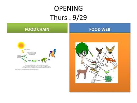 OPENING Thurs. 9/29 FOOD CHAIN FOOD WEB. Thur. Sept. 29 th OPENING You Need instructors Signature today on your DBA sheet before 9am 9:05….ESSENTIAL QUESTIONS.