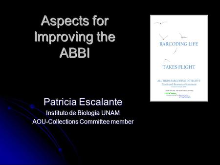 Aspects for Improving the ABBI Patricia Escalante Instituto de Biología UNAM AOU-Collections Committee member.