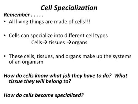 Cell Specialization Remember..... All living things are made of cells!!! Cells can specialize into different cell types Cells  tissues  organs These.