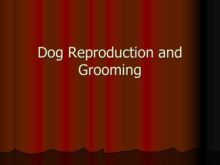 Dog Reproduction and Grooming. Reproduction Estrus Estrus Heat period Heat period Occurs on average every 7 months Occurs on average every 7 months Smaller.
