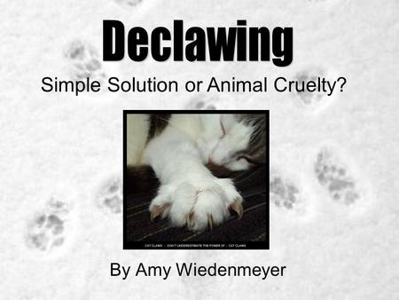 By Amy Wiedenmeyer Simple Solution or Animal Cruelty?