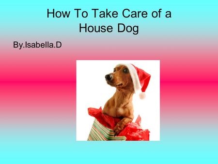 How To Take Care of a House Dog By.Isabella.D Splash,bang,bark! Are you tired of your dog making a mess in the house? Well I am going to teach you how.