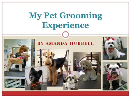 BY AMANDA HUBBELL My Pet Grooming Experience. Here are a few things I learned at Amy’s Place - - My Ed-Tech program requires that I take a job shadowing.
