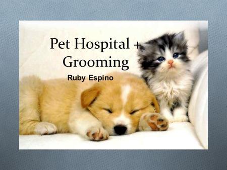 Pet Hospital + Grooming Ruby Espino. What it’s all about O My idea is all about animals having great care. By creating a hospital that at the end of their.