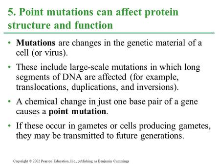 5. Point mutations can affect protein structure and function