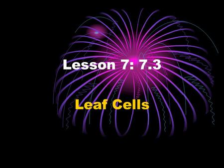 Lesson 7: 7.3 Leaf Cells. QUESTION: How can you identify a plant cell?