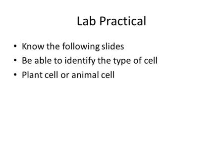 Lab Practical Know the following slides