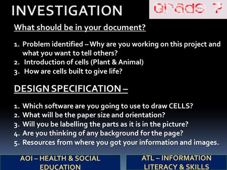 What should be in your document? 1.Problem identified – Why are you working on this project and what you want to tell others? 2. Introduction of cells.