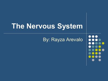 The Nervous System By: Rayza Arevalo. What is the nervous system? The nervous system is the system of cells, tissues, and organs that regulates the body's.